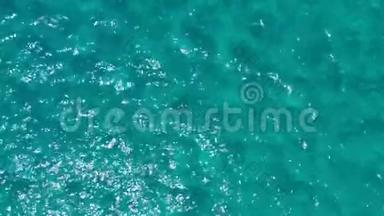 平静清澈的海水背景。 平静的海水背景。 一片晶莹剔透的蓝绿色水的空中镜头。 顶级
